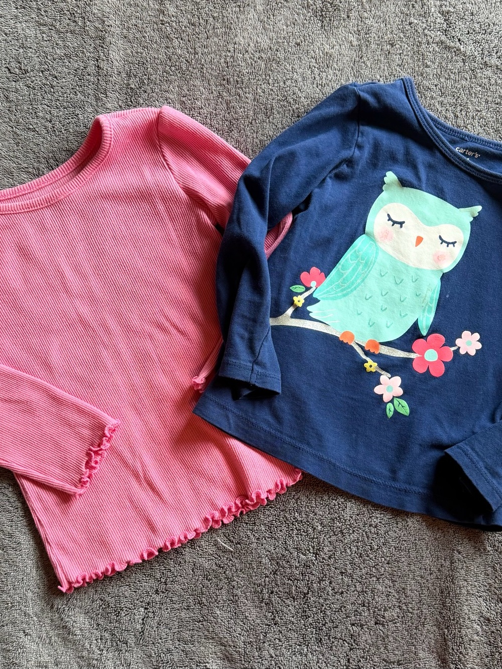 Carter's Navy Owl Long-Sleeve Top & Pink Garanimals Ribbed Tee Set